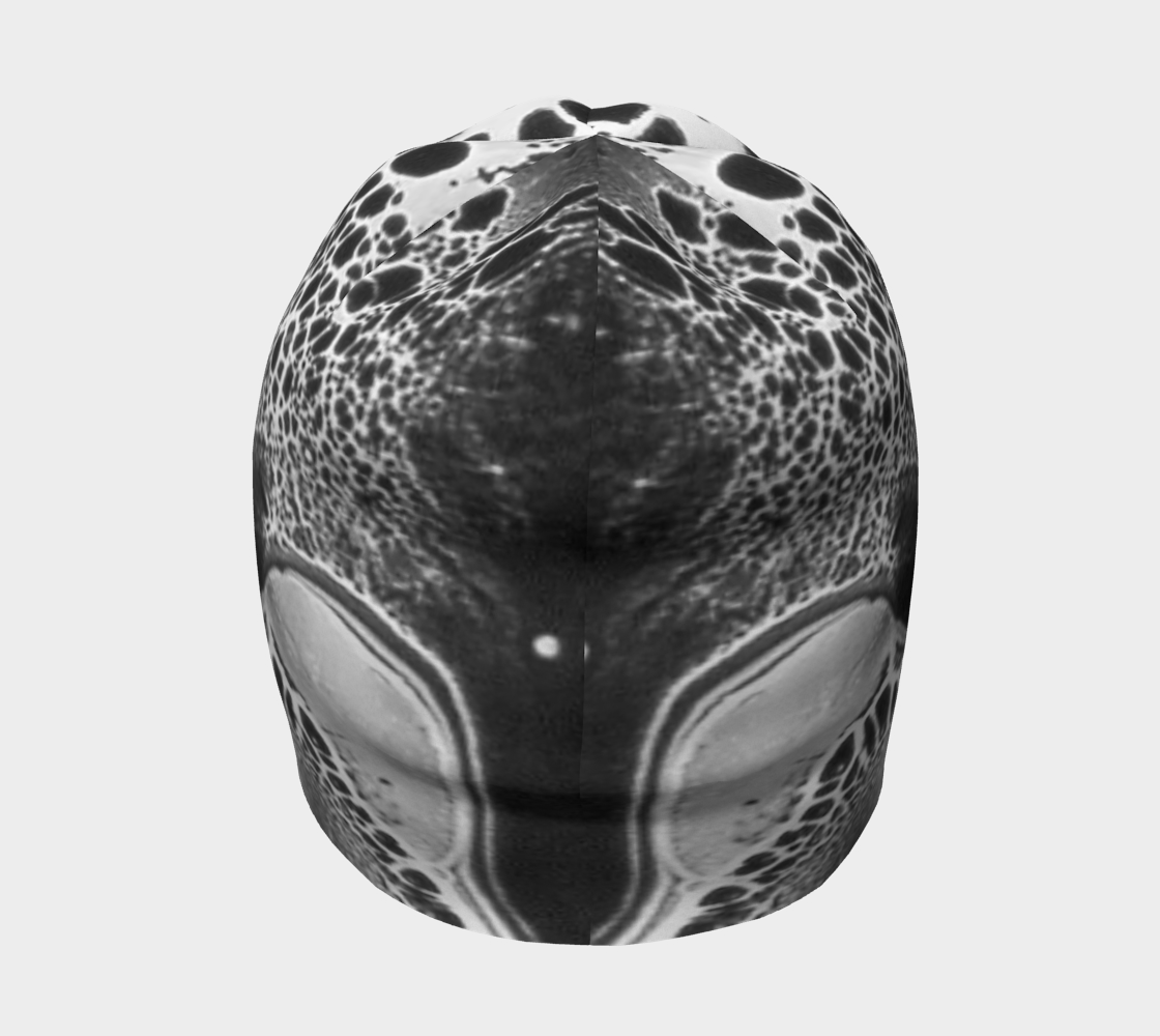 Beanie: B Color, (Lamp Black) Dispersing in Croom Acrylic House Paint