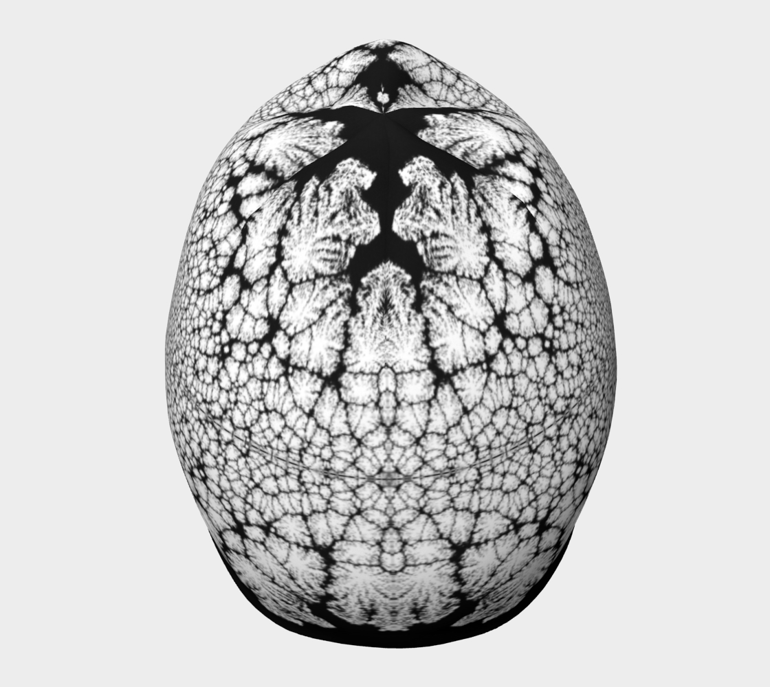 Beanie: B Color, (Lamp Black) Dispersing in Croom Acrylic House Paint