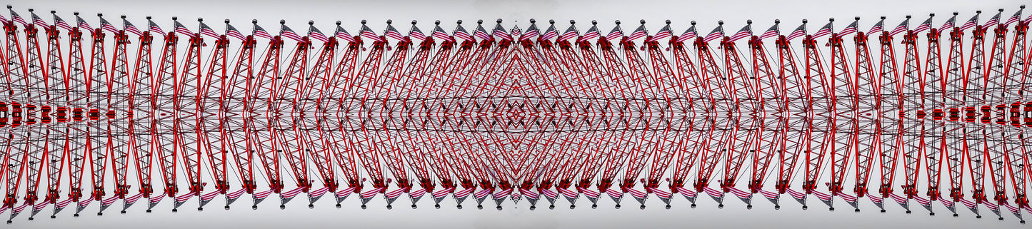 Long Scarf: Crane with American Flag 1