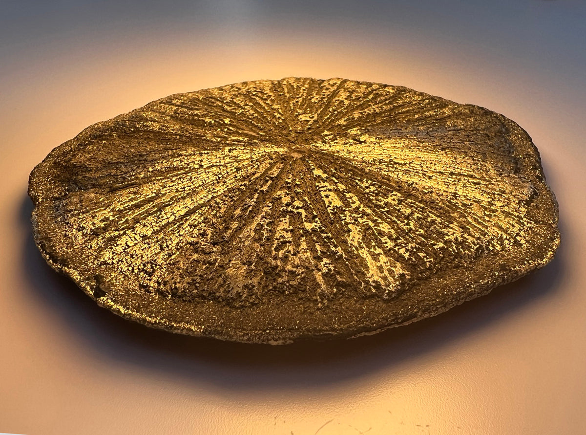 Tablecloth: Pyrite, "Sun" — Inverted Color