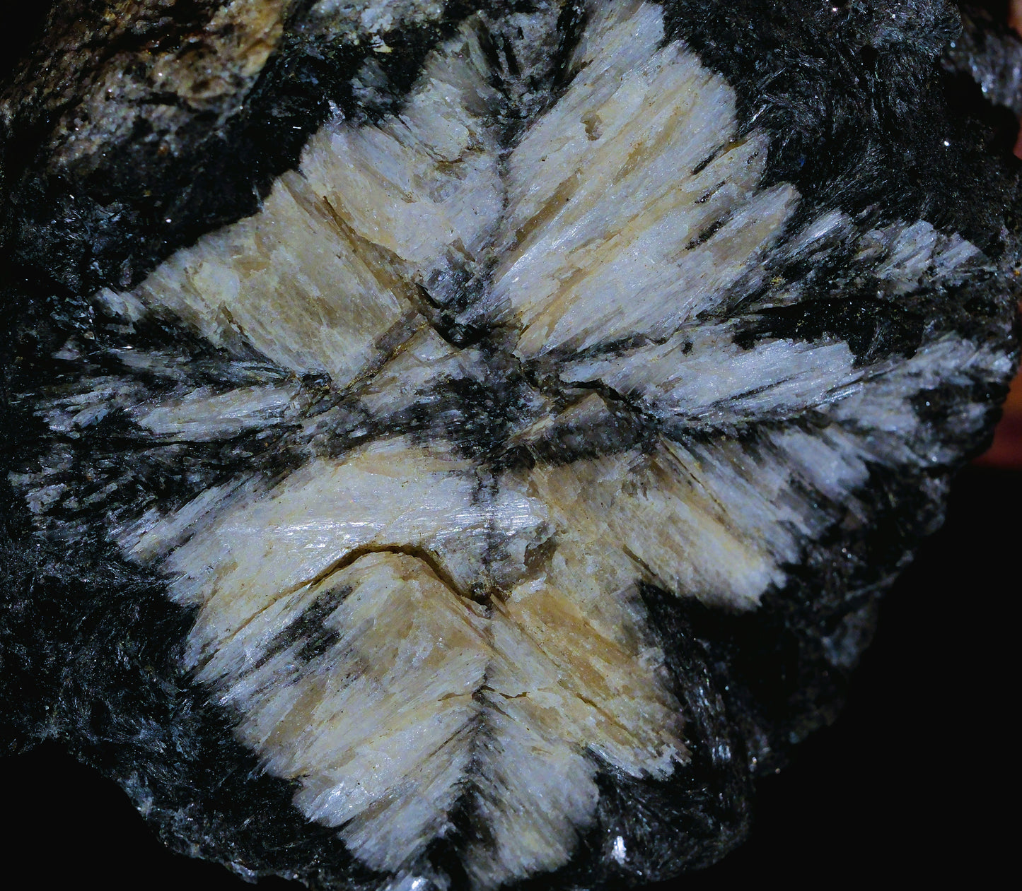 Leggings: Chiastolite, Kola Peninsula, Russia