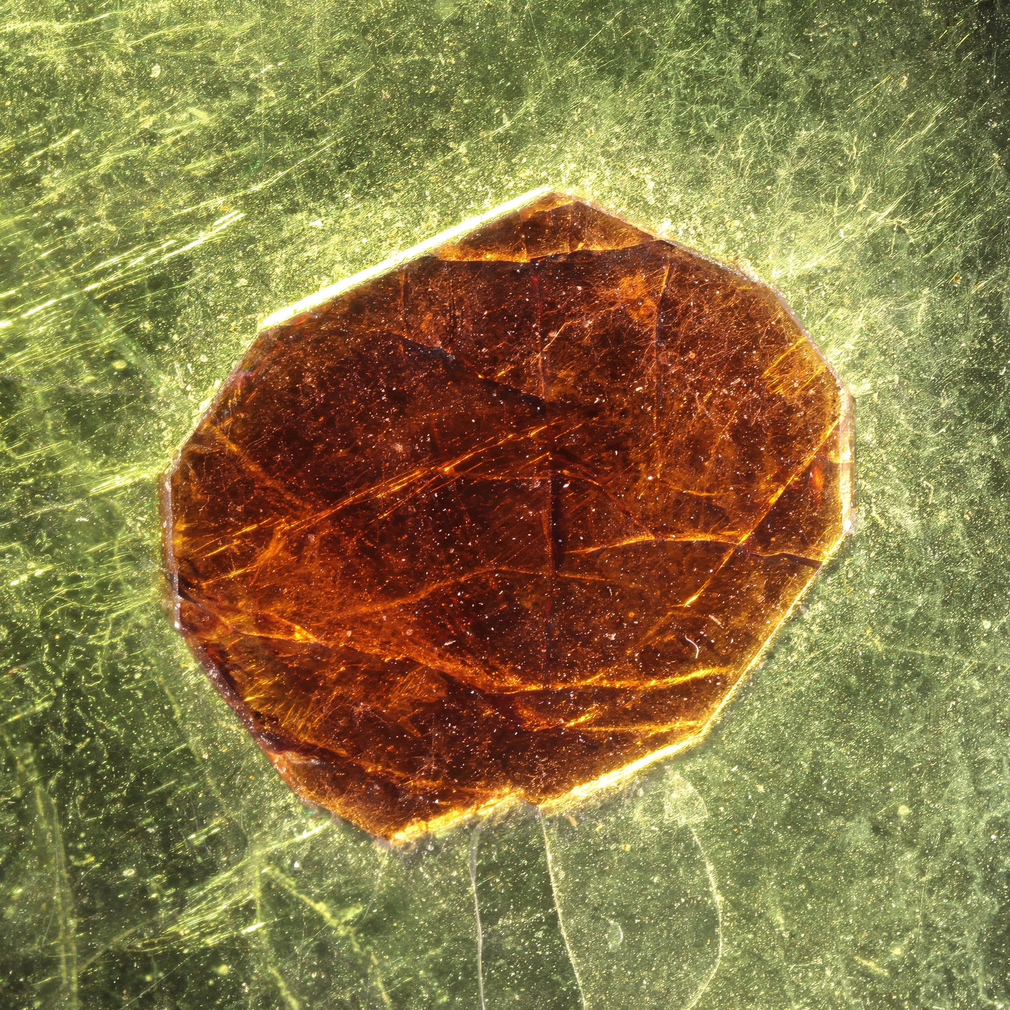 Mens Short Sleeve Shirt:Muscovite and Garnet, North Carolina