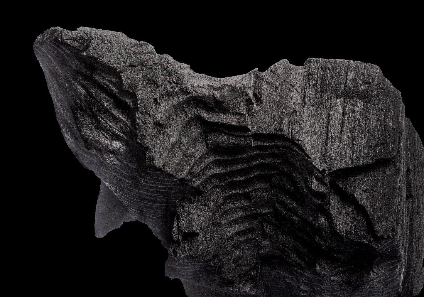 Mens Short Sleeve Shirt: Charcoal formed approximately 50,000 years ago when lava from a Washington State volcano engulfed tree, carbonizing it.