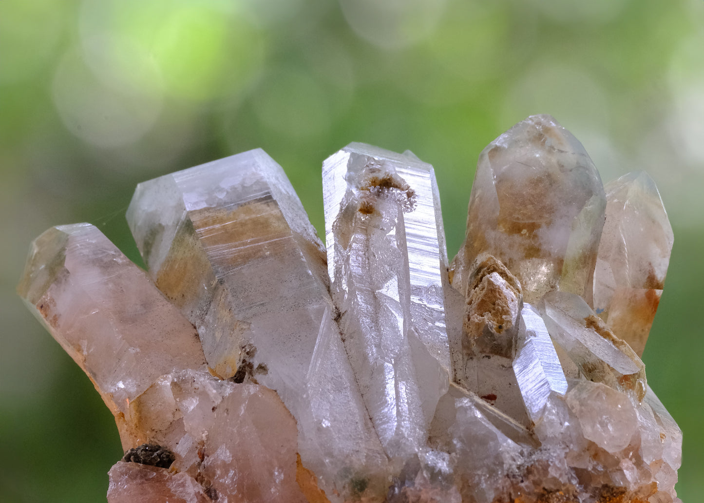 Headband: Quartz, Lake Boone Trail, Raleigh, North Carolina, Original Color