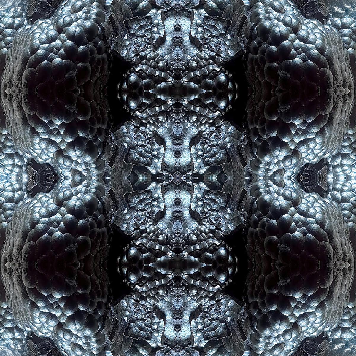 Tablecloth: Hematite, Botryoidal — New Mexico, USA — Inverted Color