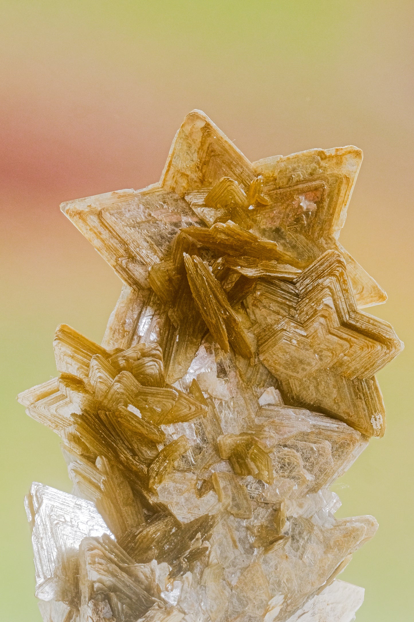 Long Scarf: Star Muscovite, Brazil