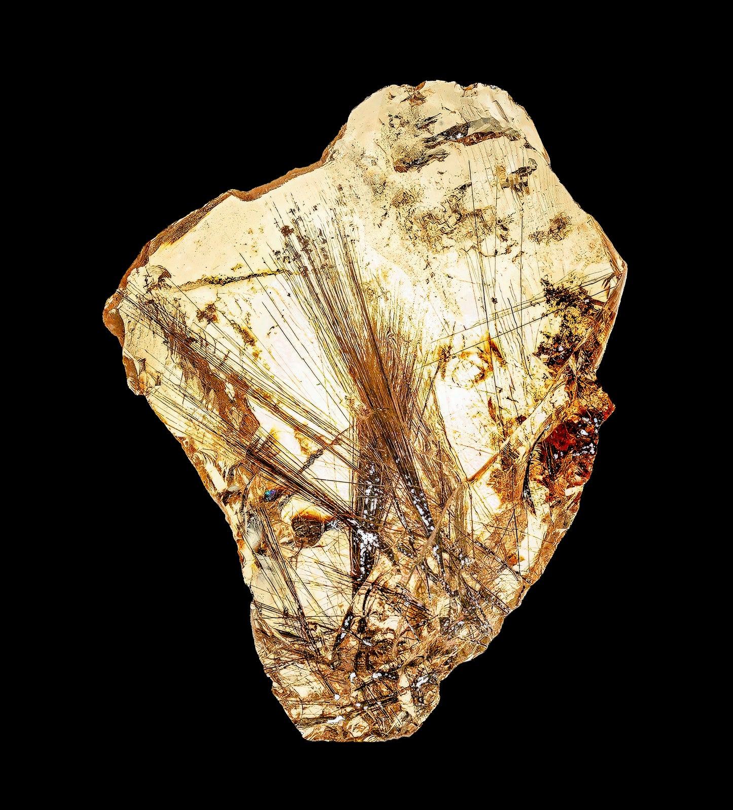 Men's Polo Shirt: Rutilated Quartz, North Carolina