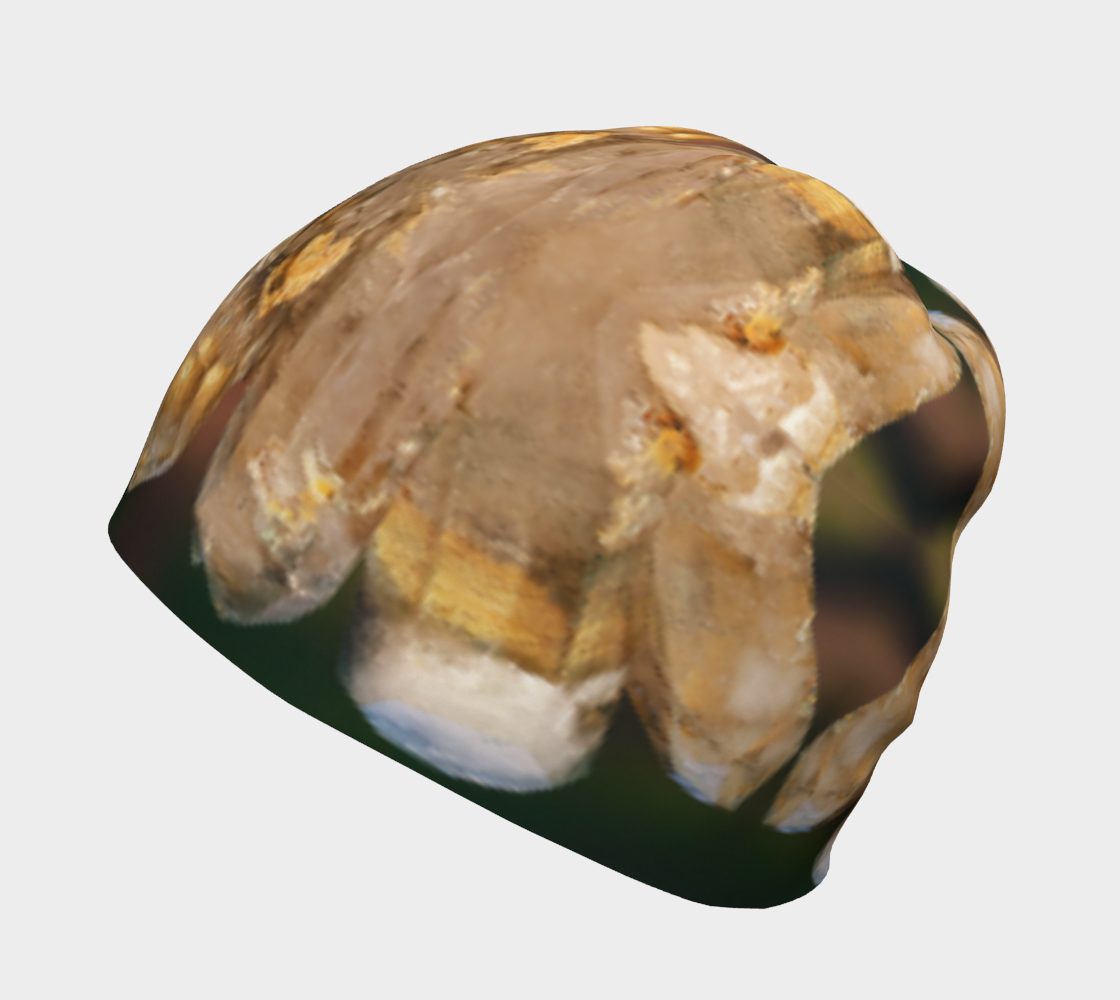 Beanie: Quartz, , Lake Boone Trail, Raleigh, North Carolina, USA, Porch Cured Color