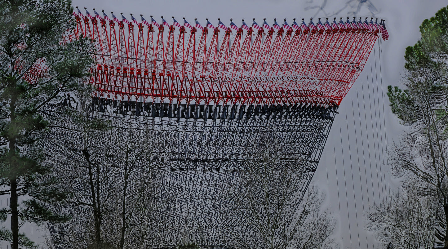 Long Scarf: Crane with American Flag 1