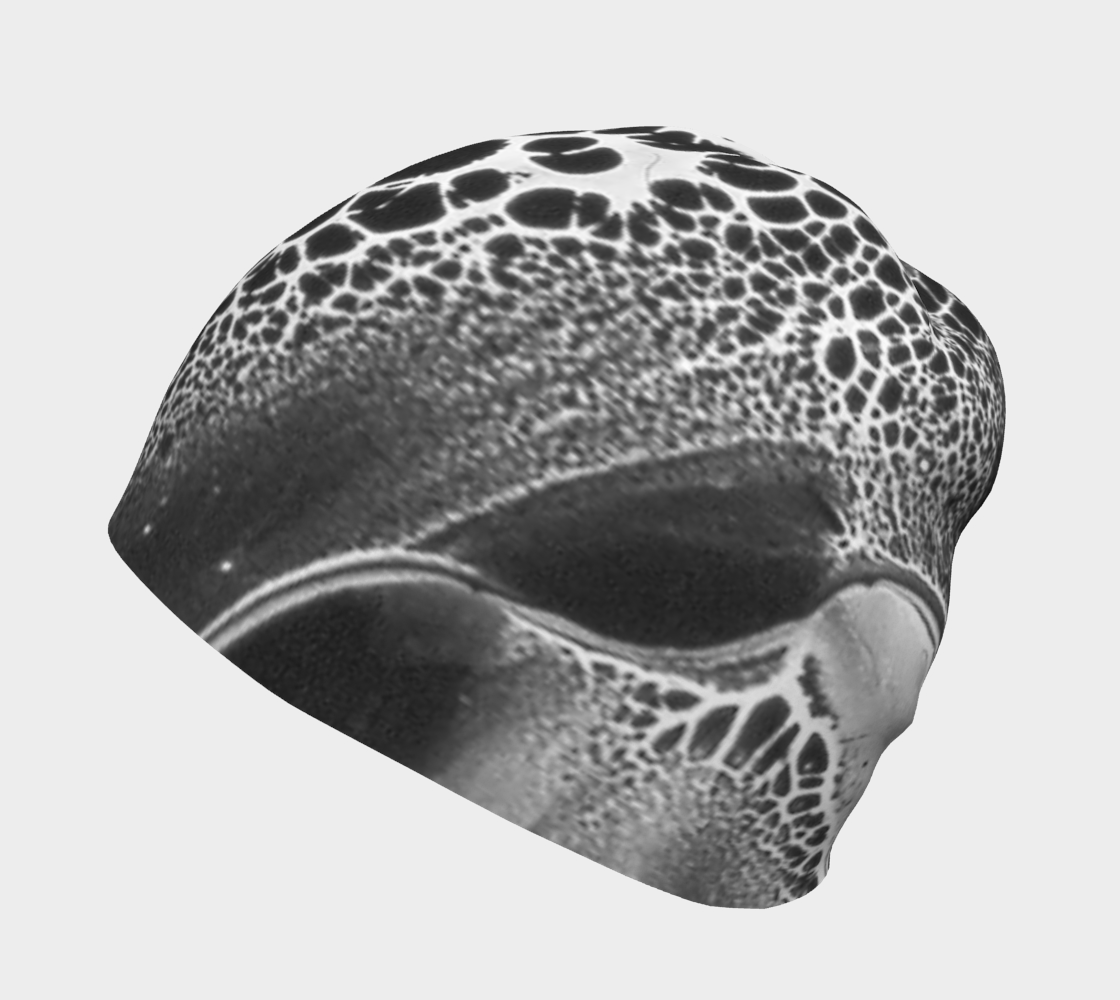 Beanie: B Color, (Lamp Black) Dispersing in Croom Acrylic House Paint