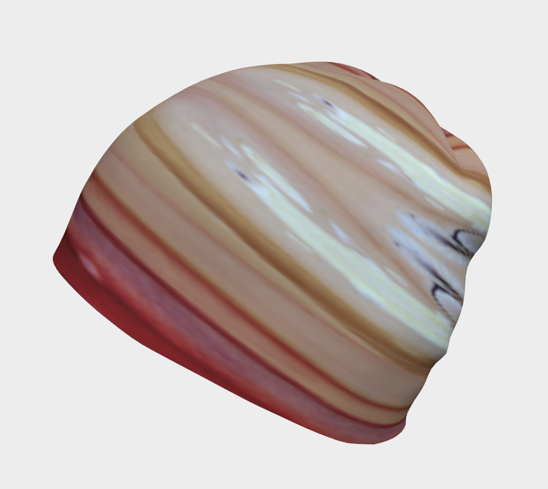 Beanie :  C & F Color, (Yellow and Red Oxide Pigment) Dispersing in Croom Acrylic House Paint,  Original Color Version -