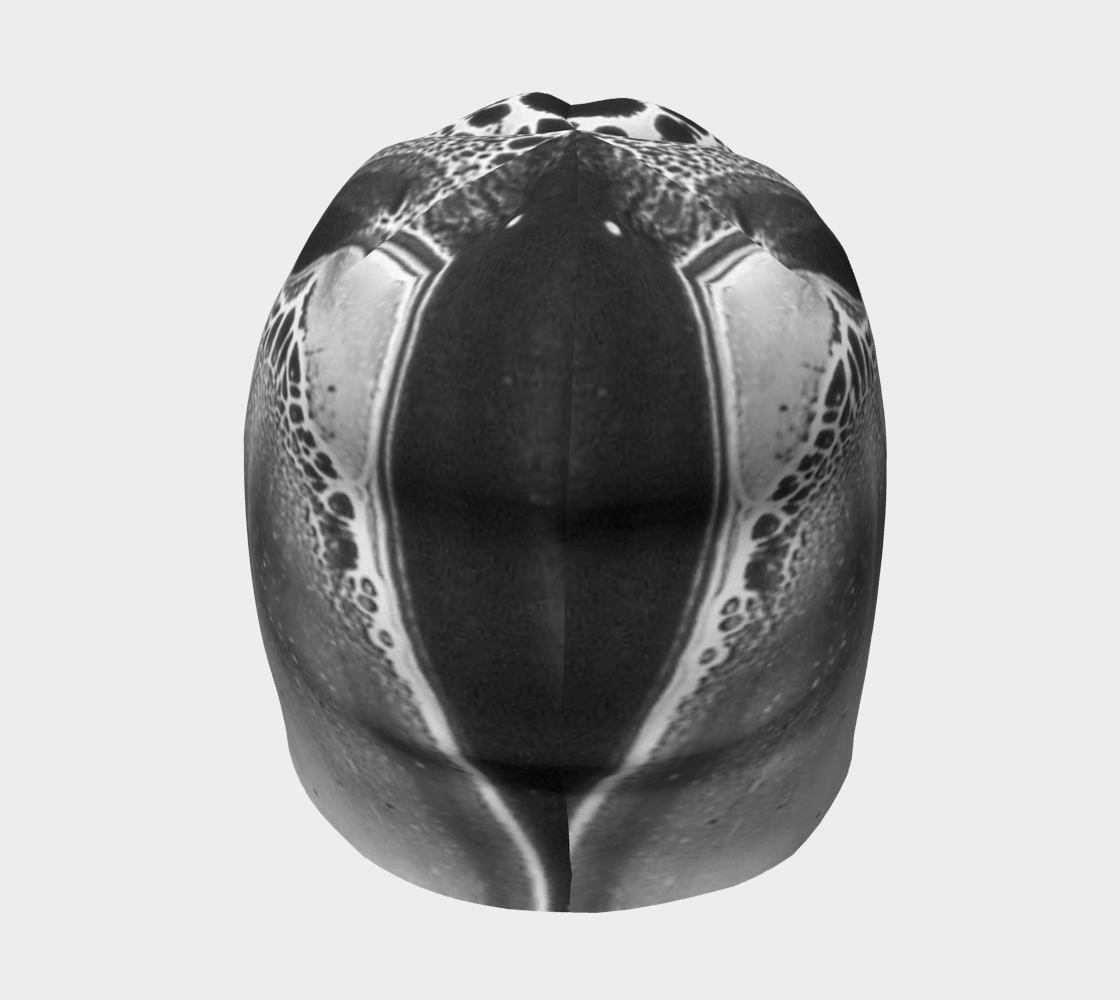 Beanie: B Color, (Lamp Black) Dispersing in Croom Acrylic House Paint