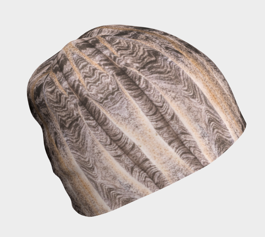 Beanie: Quartz and Magnetite Sand Dune, Cape Hatteras, North Carolina (4)