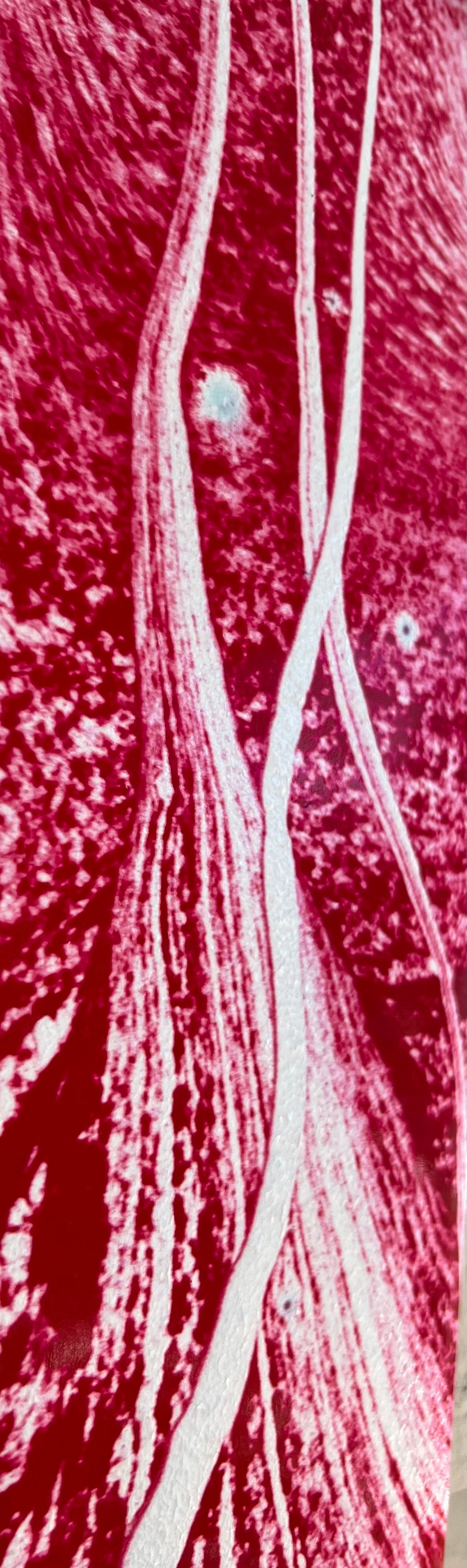 Long Scarf: H Color (Toluidine Red) dispersing in Croom Acrylic House Paint