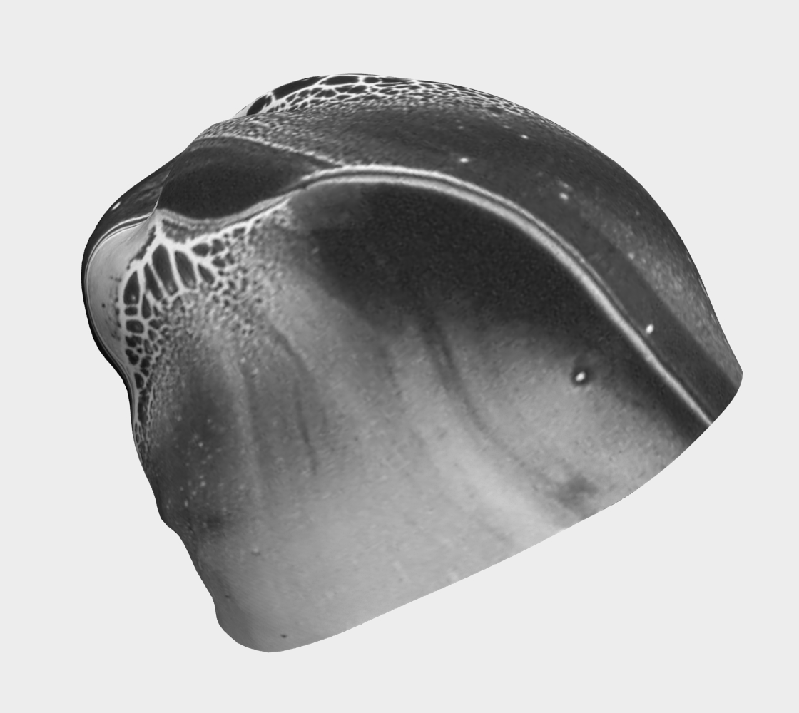 Beanie: B Color, (Lamp Black) Dispersing in Croom Acrylic House Paint