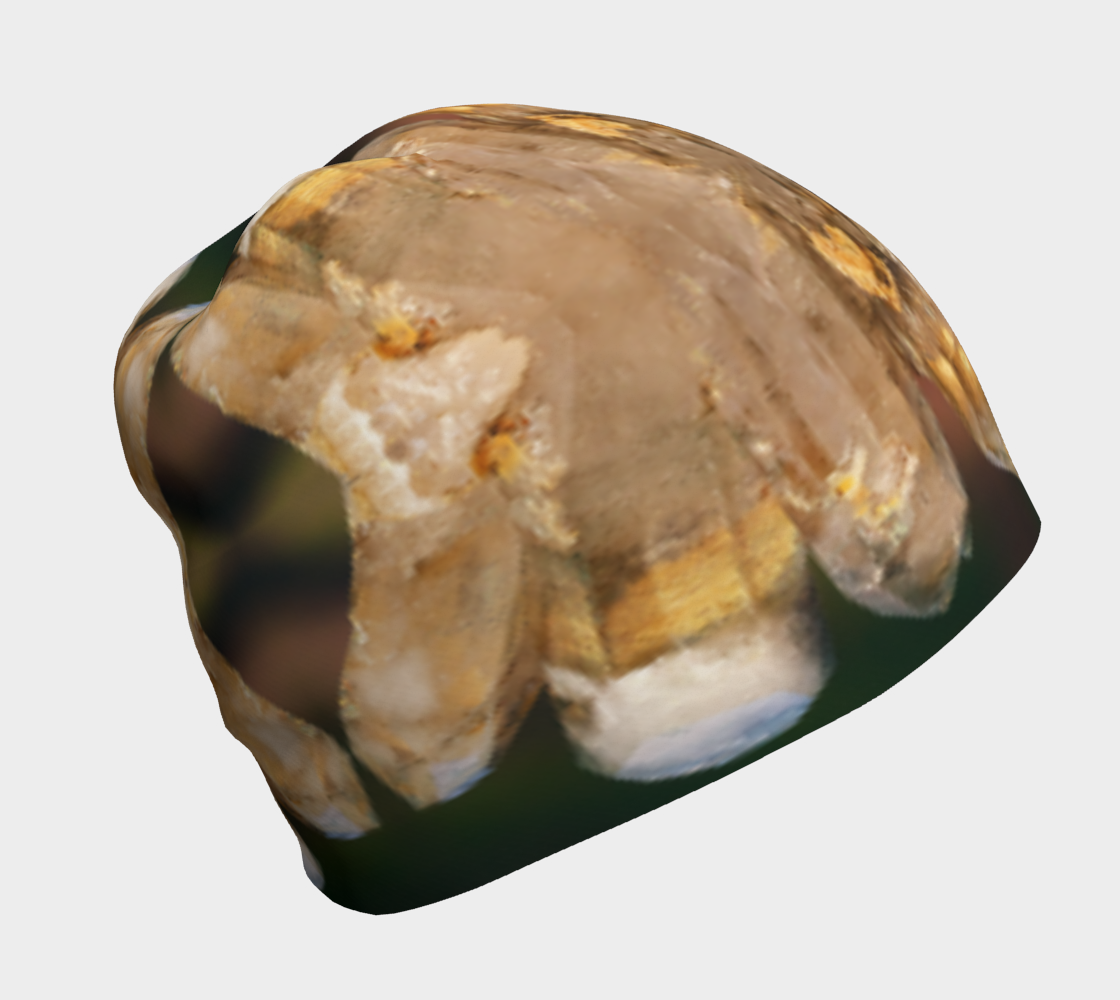 Beanie: Quartz, , Lake Boone Trail, Raleigh, North Carolina, USA, Porch Cured Color