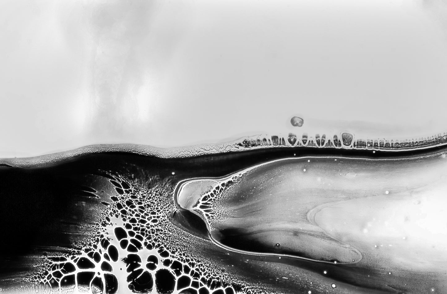 Beanie: B Color, (Lamp Black) Dispersing in Croom Acrylic House Paint