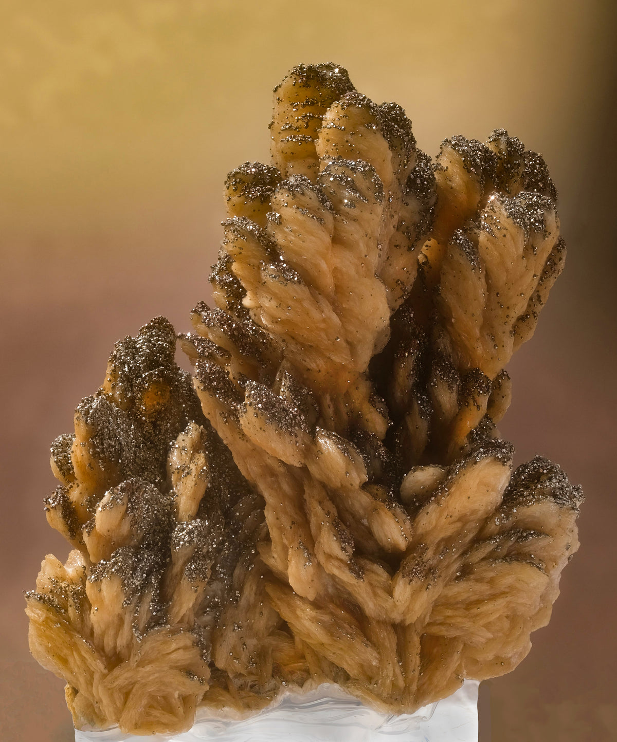 Tablecloth: Barite, with Pyrite — Lupin Mine, Poland — EX Spirifer Minerals — Original Color