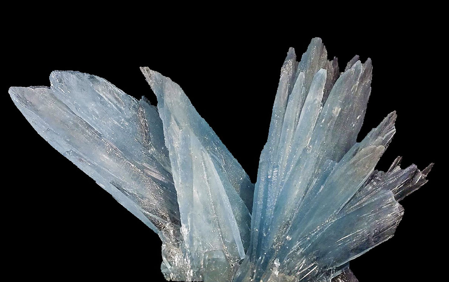 Long Scarf: Barite, Jebel Ouichane, Sagangane, Nador, Morocco EX Jordan Root