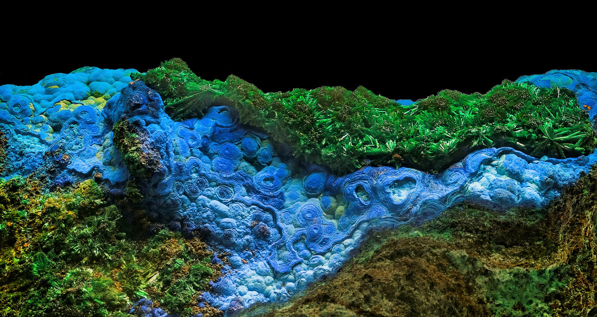 Tablecloth: Azurite Malachite, with Cuprite — Copper Queen Mine, Bisbee, Cochise County, Arizona, USA — EX Yale Collection circa 1890's — Original Color