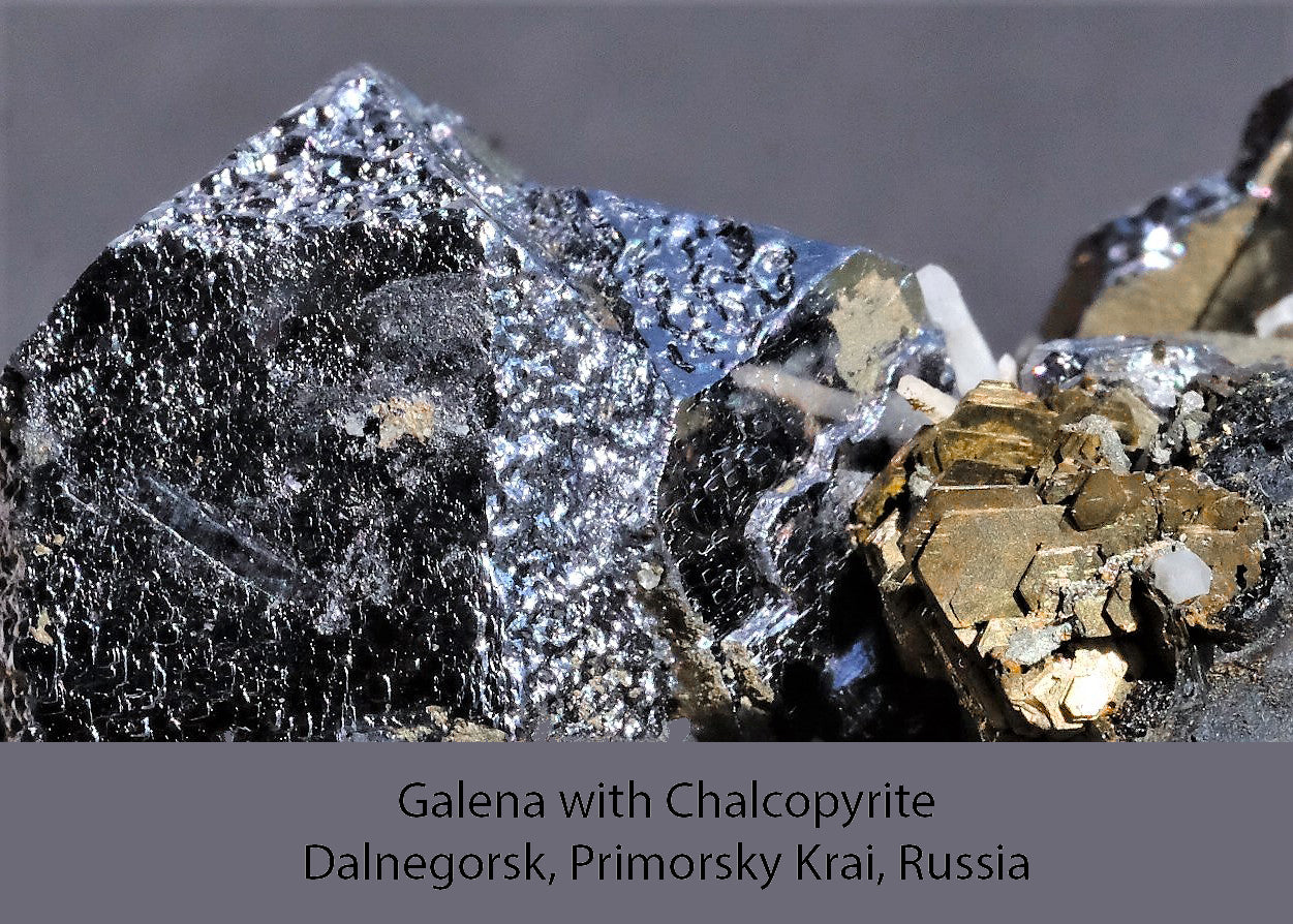 Men's Tie: Galena w Chalcopyrite , Dal N'Gorsk, Russia, Original Color