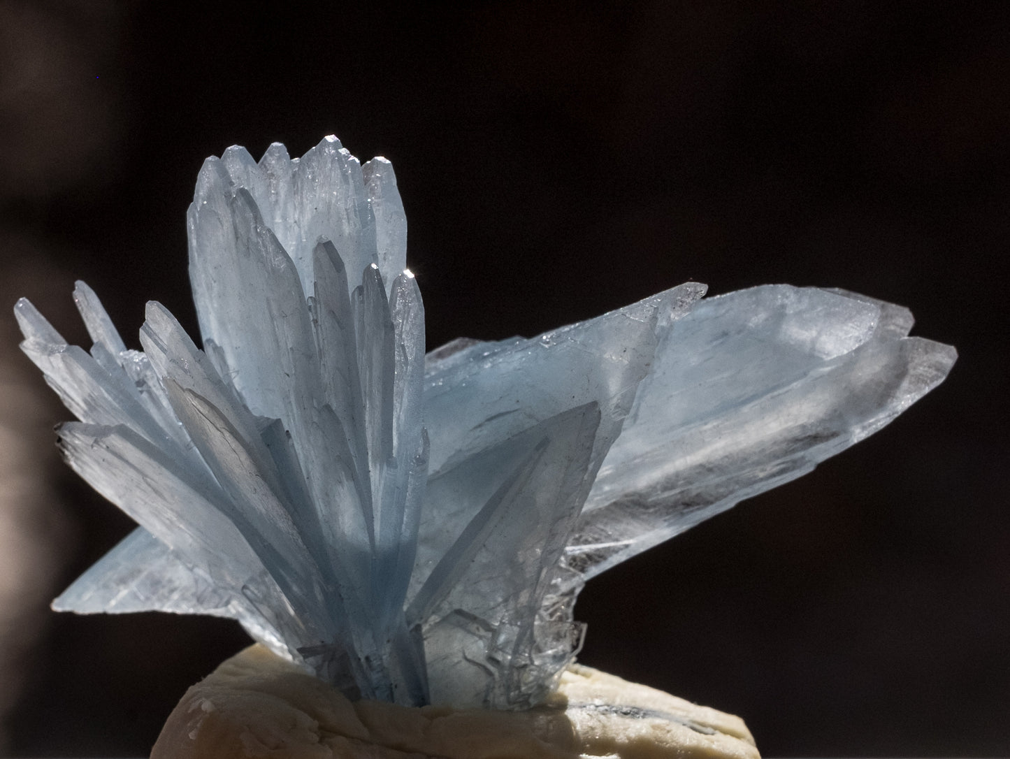 Long Scarf: Barite, Jebel Ouichane, Sagangane, Nador, Morocco EX Jordan Root