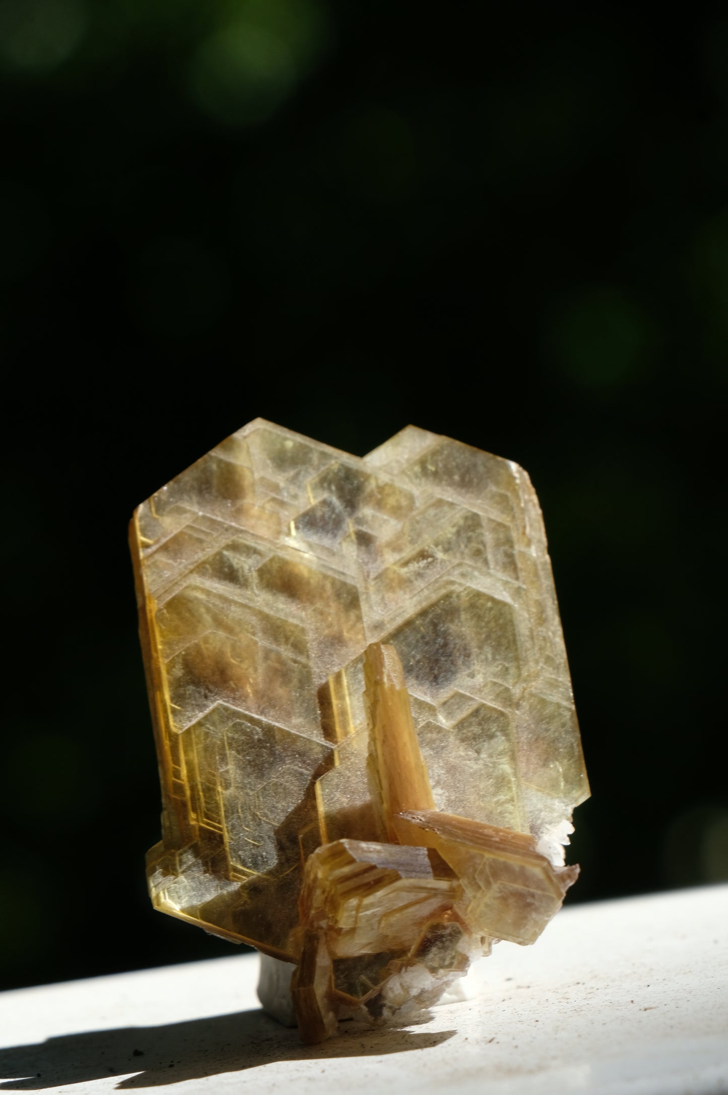 Halter Dress: Muscovite, Brazil, EX Lavinsky, Wendell Wilson, Original Color