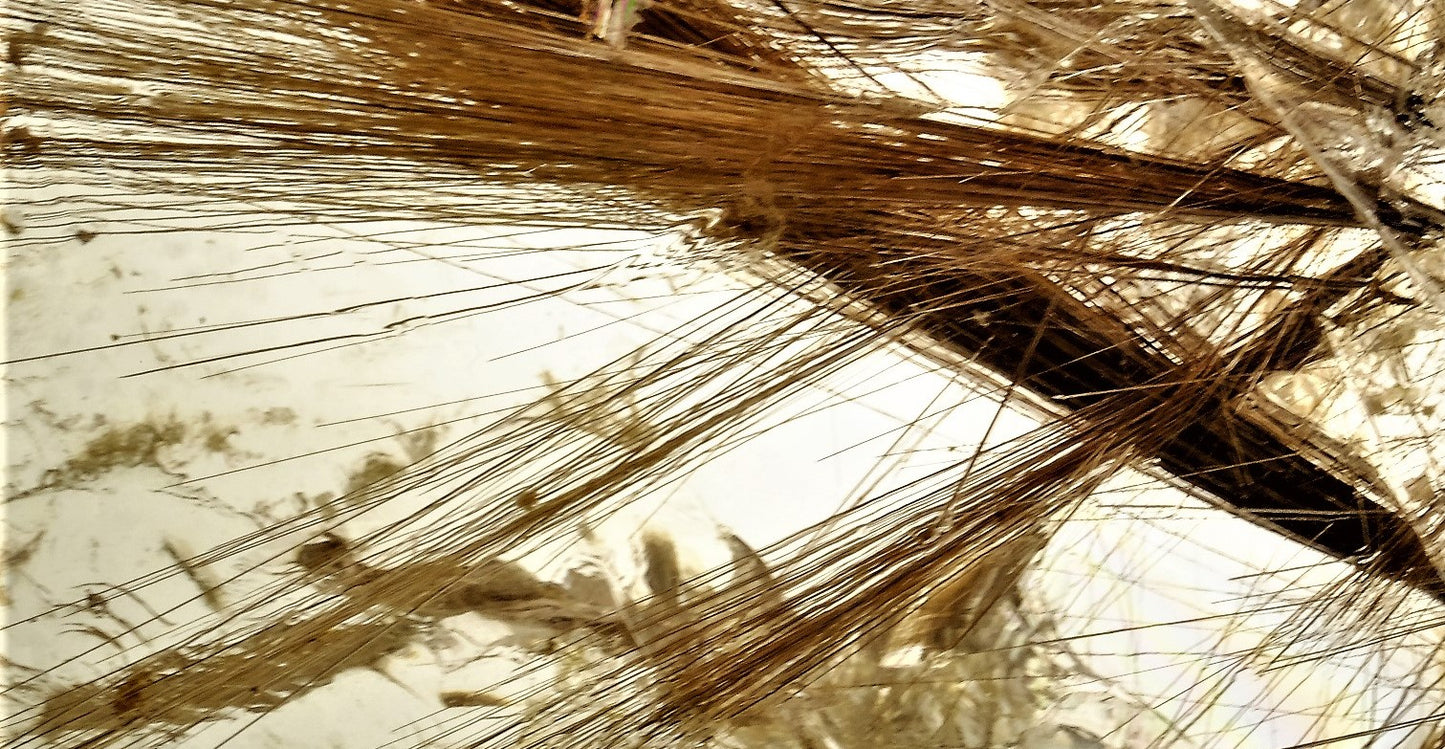 Parachute Shopping Bag: Rutilated Quartz, Alexander County, North Carolina