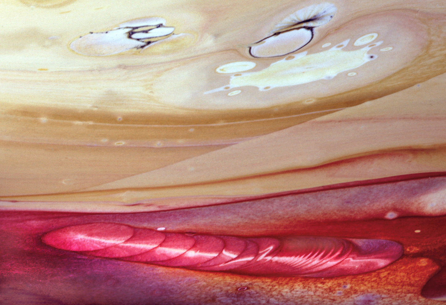 Beanie :  C & F Color, (Yellow and Red Oxide Pigment) Dispersing in Croom Acrylic House Paint,  Original Color Version -