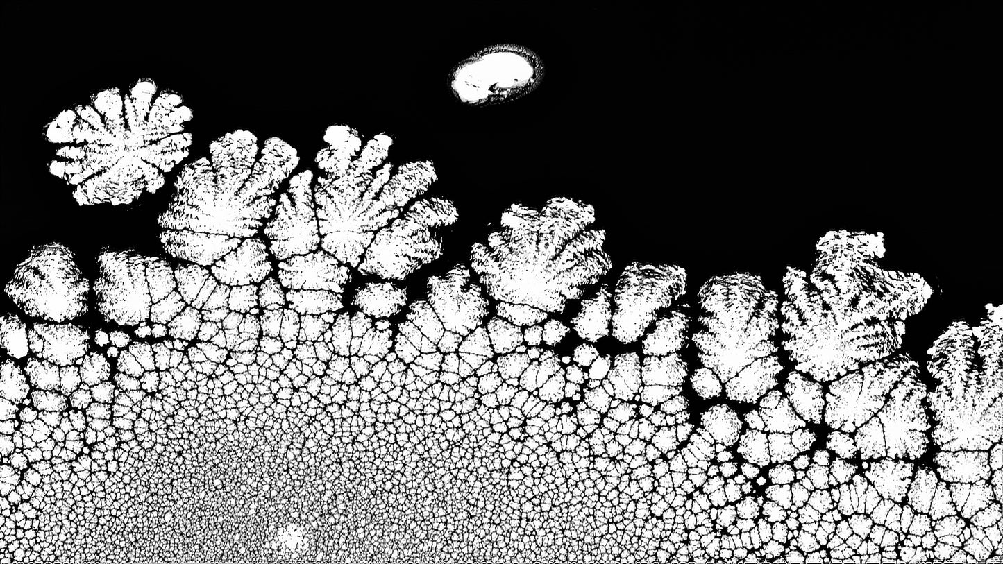 Parachute Shopping Bag: KX Titanium White) Color Dispersing in Croom Acrylic Black Paint
