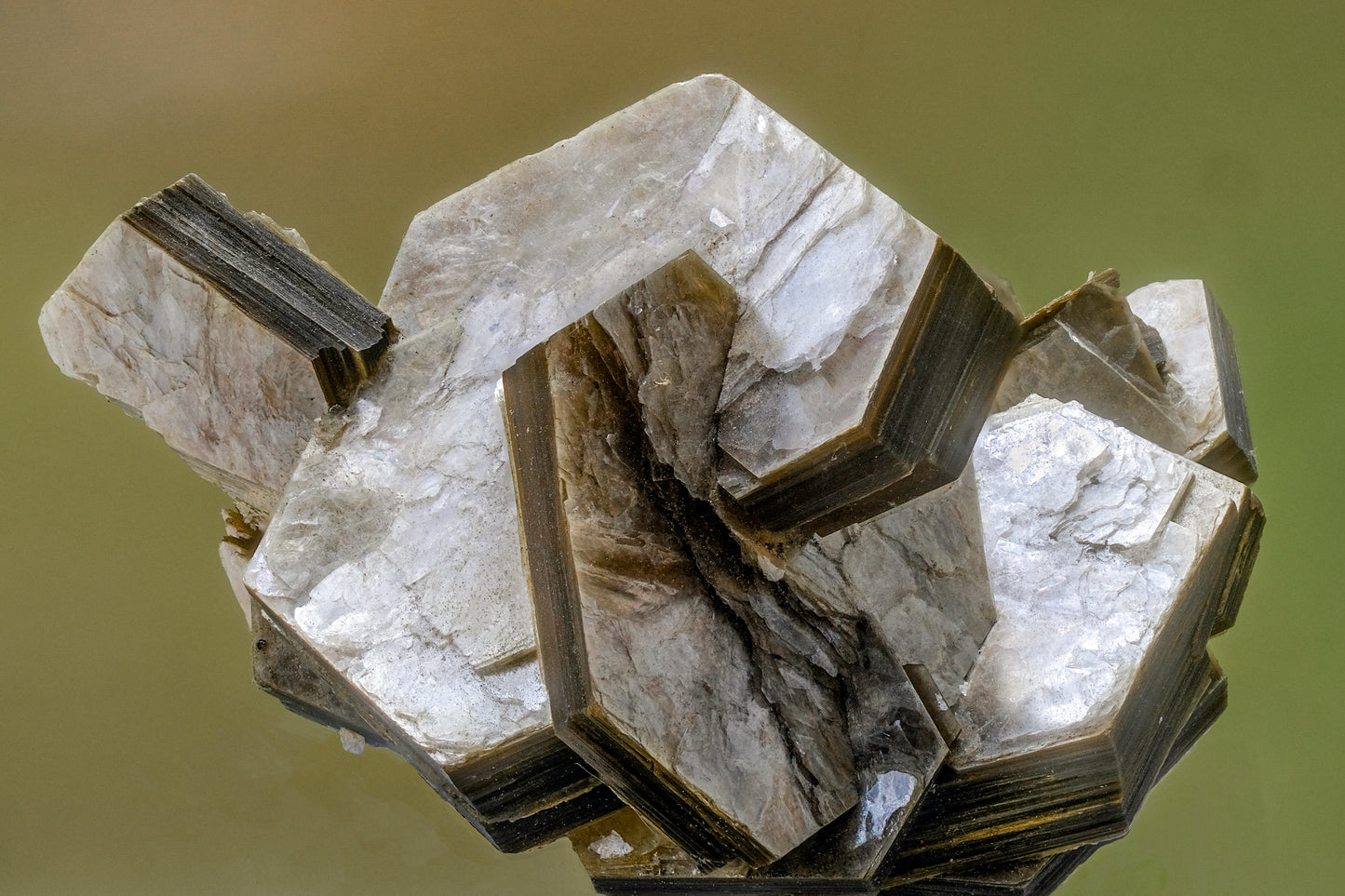 Square Scarf: Muscovite, Brazil, EX Spann, Inverted Color