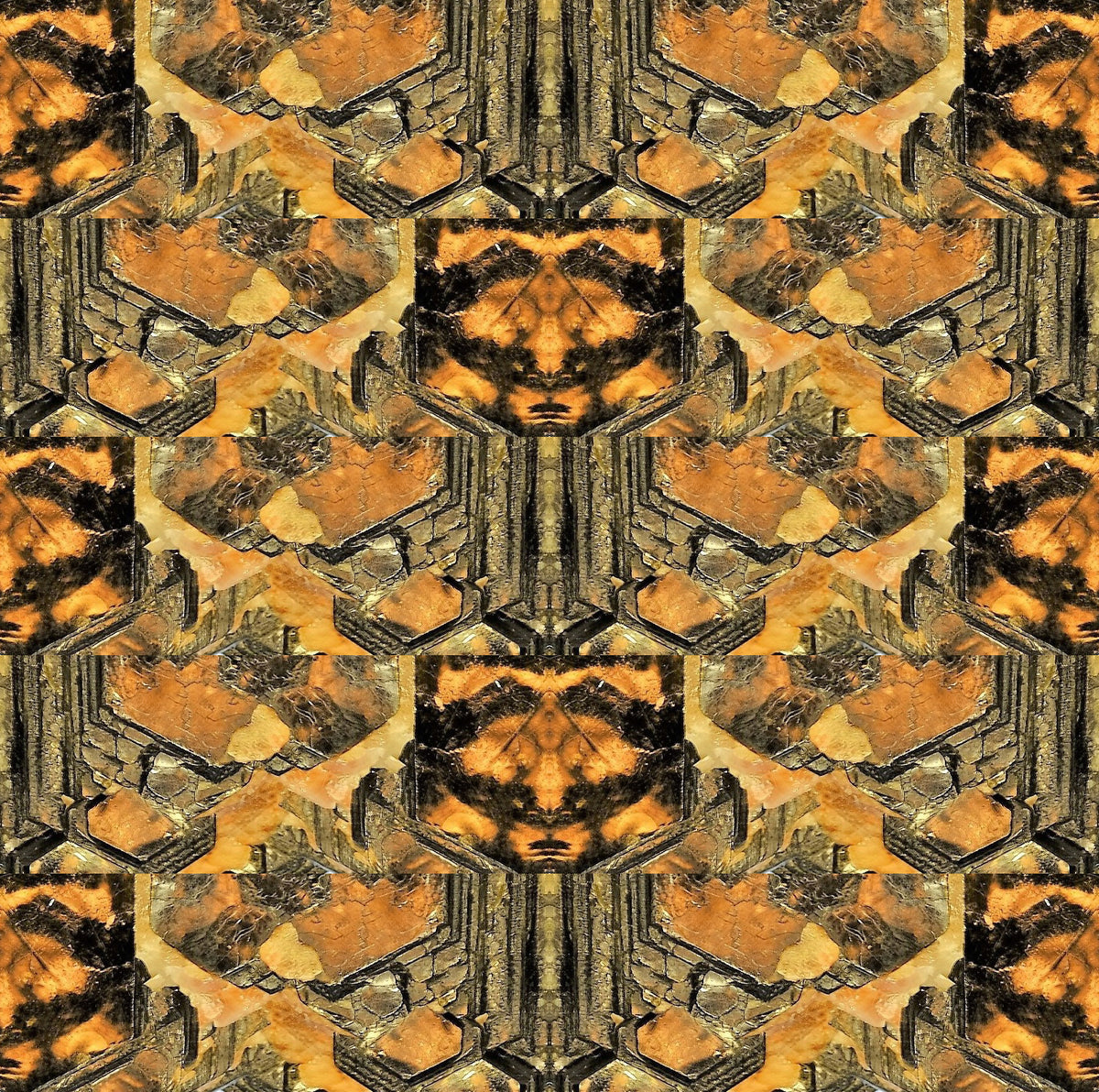 Tablecloth: Phlogopite — Swakopmund District, Erongo Region, Namibia