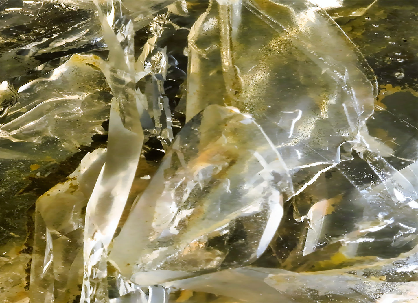 Men's Tie: Quartz Smoky , Hiddenite, North Carolina,Original Color