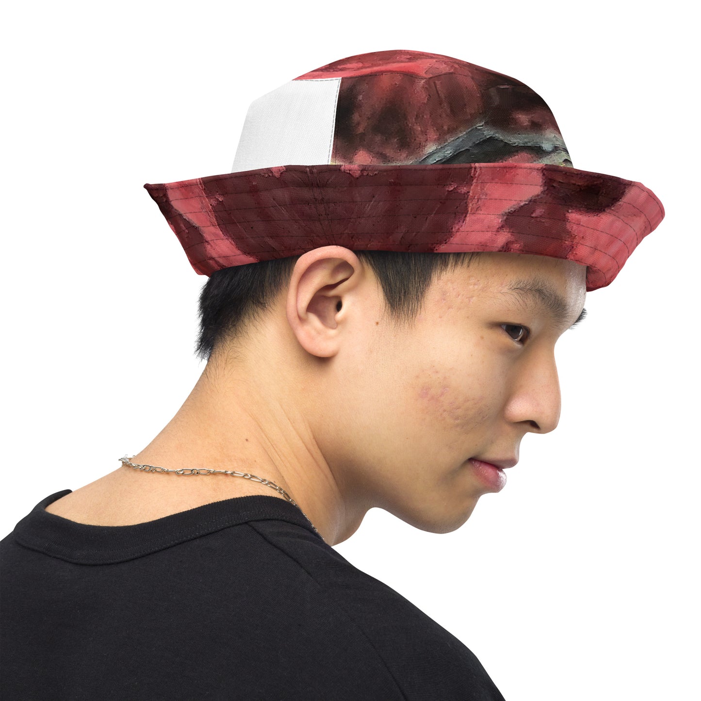 Bucket Hat: Siderite, and Biotite, Crabtree Quarry, Raleigh, North Carolina, USA, , Original Color