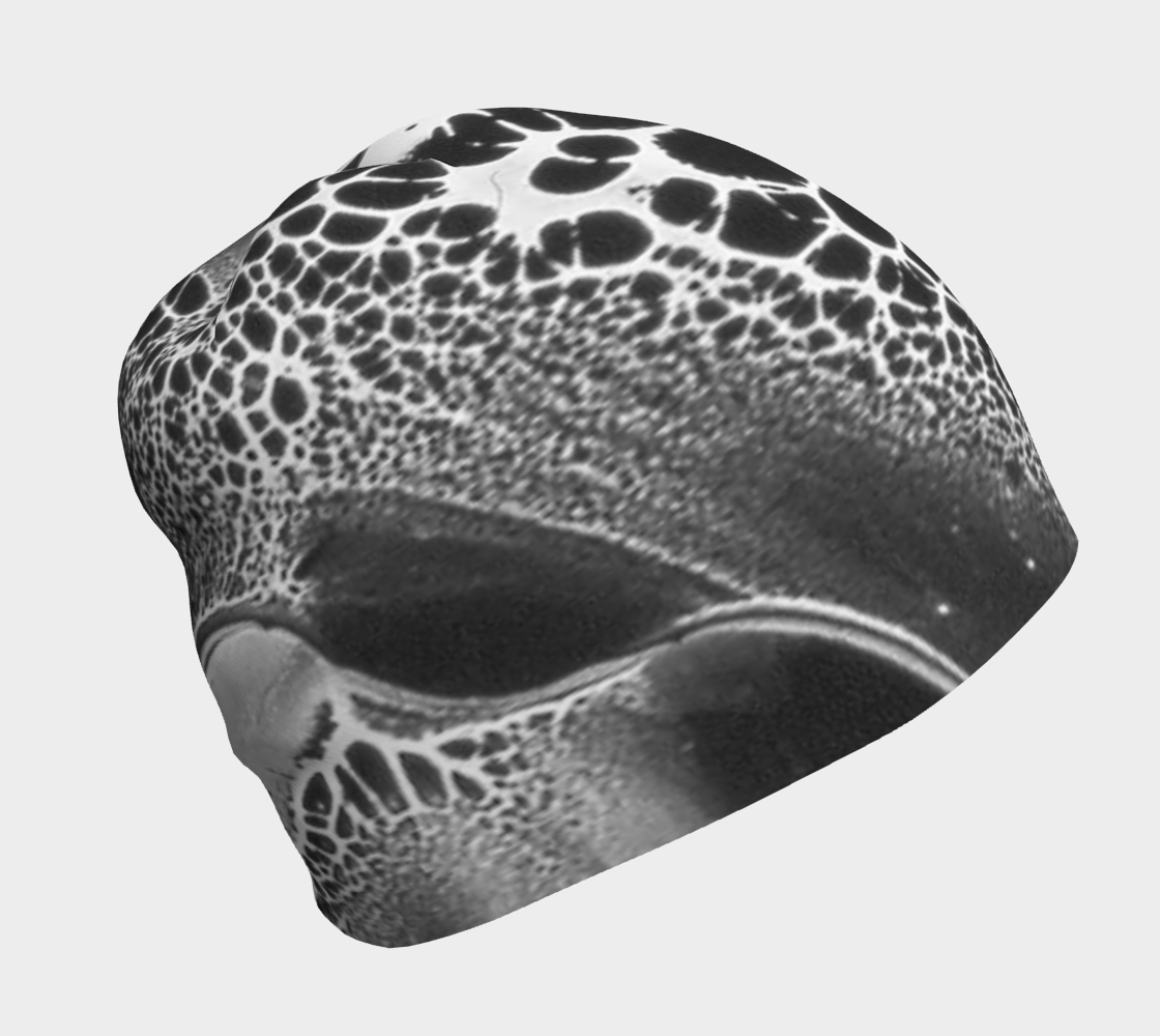 Beanie: B Color, (Lamp Black) Dispersing in Croom Acrylic House Paint