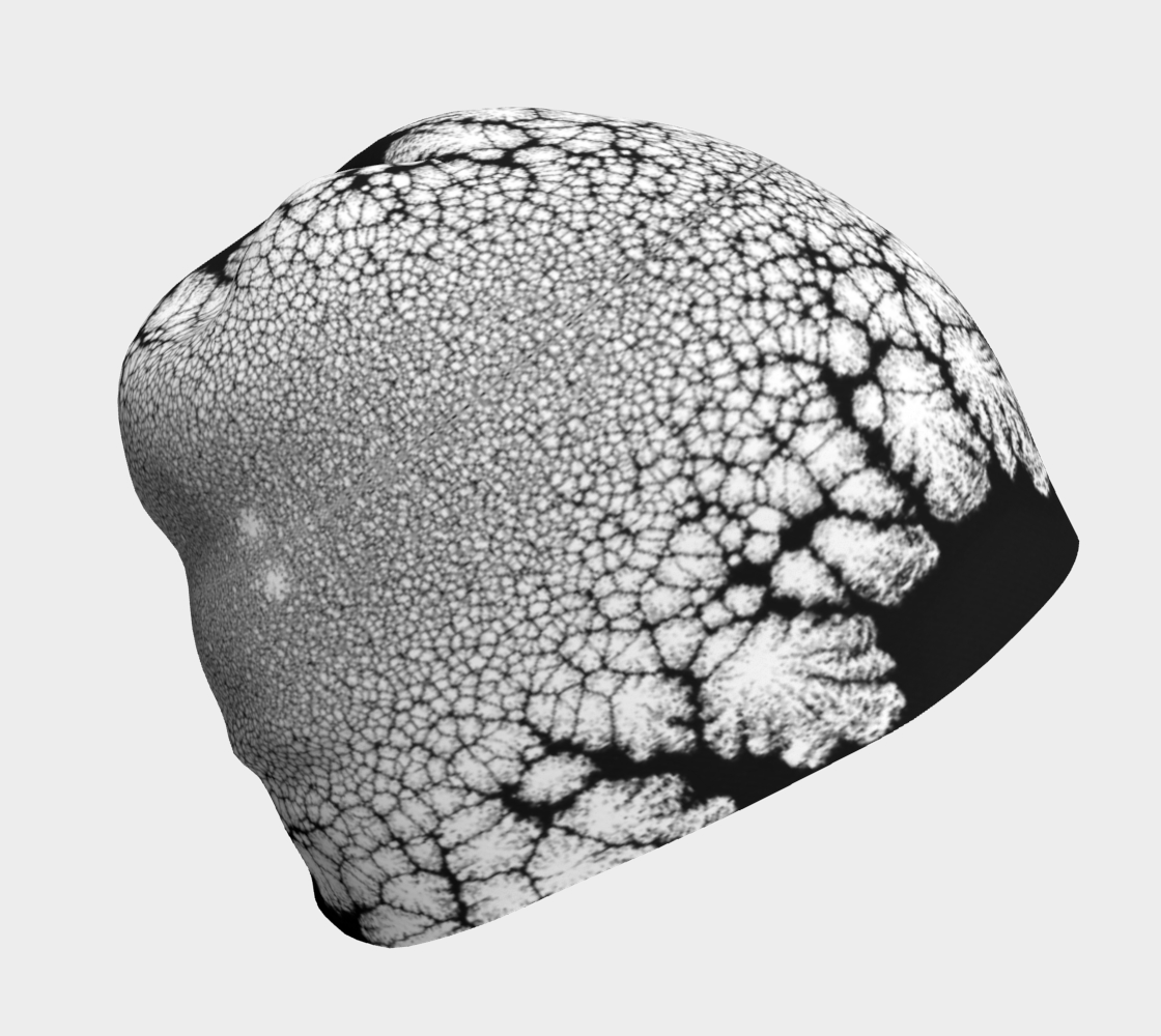 Beanie: B Color, (Lamp Black) Dispersing in Croom Acrylic House Paint