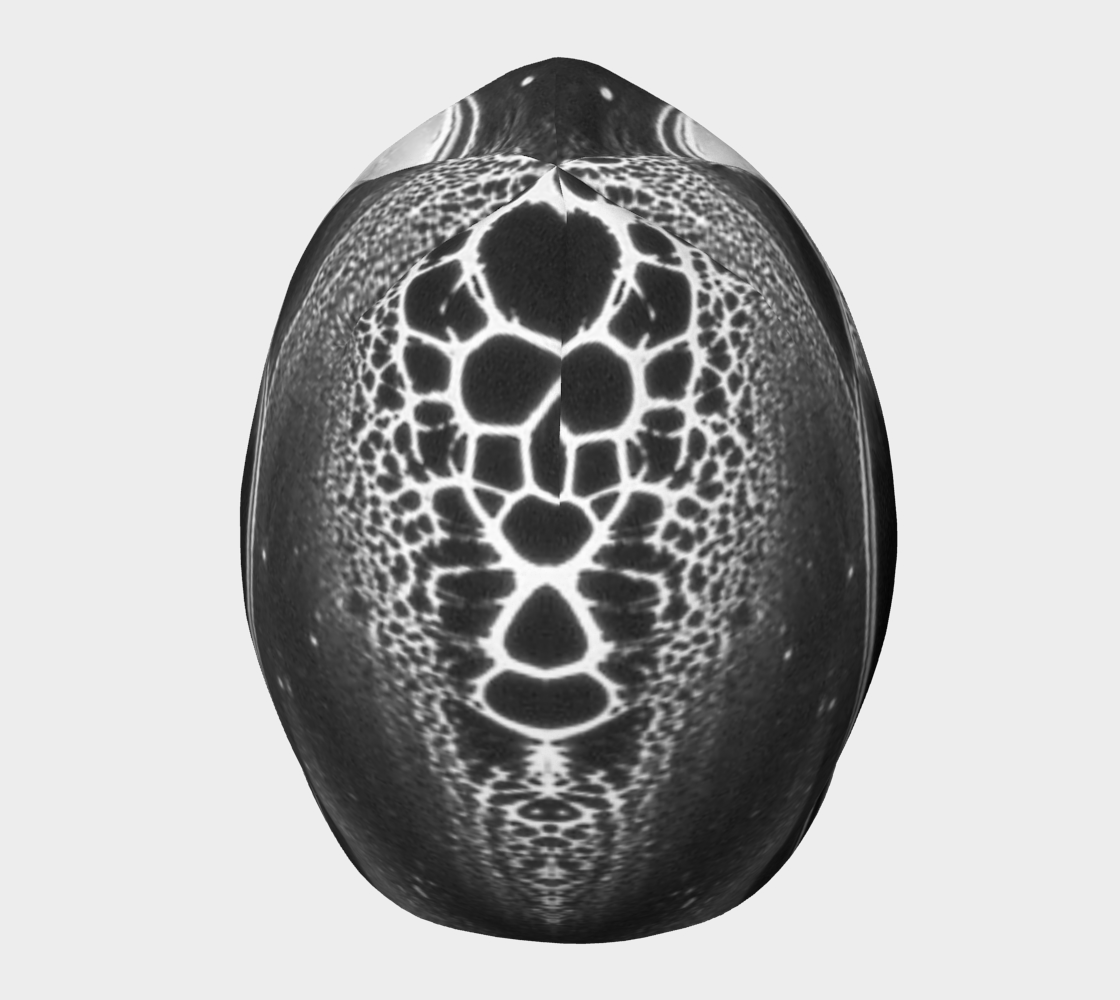 Beanie: B Color, (Lamp Black) Dispersing in Croom Acrylic House Paint