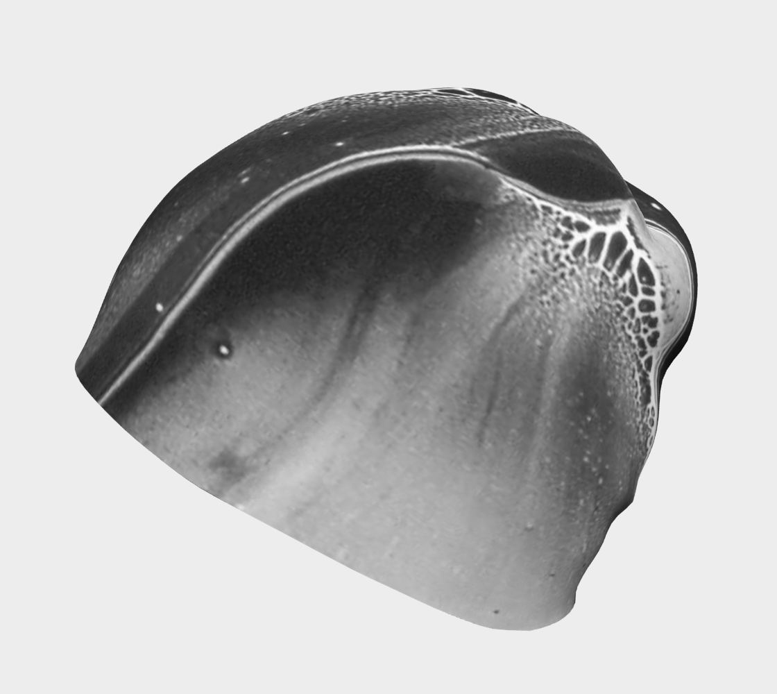 Beanie: B Color, (Lamp Black) Dispersing in Croom Acrylic House Paint