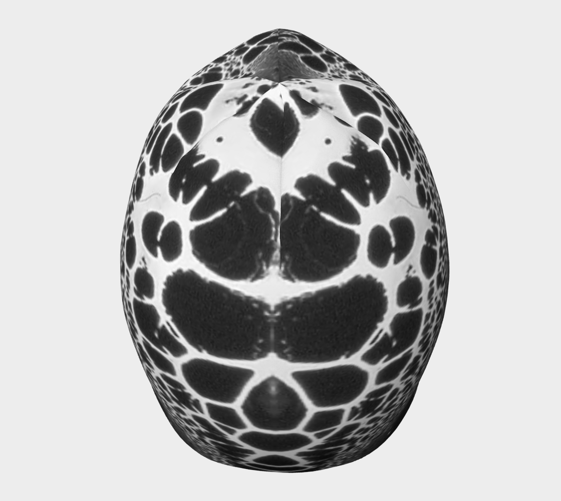 Beanie: B Color, (Lamp Black) Dispersing in Croom Acrylic House Paint