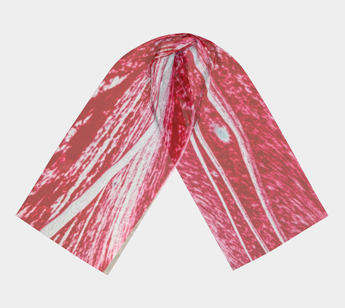 Long Scarf: H Color (Toluidine Red) dispersing in Croom Acrylic House Paint
