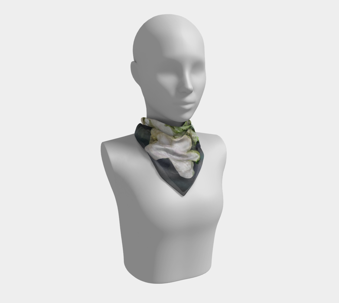 Square Scarf: Cerusite On Motramite, Flowers, Tsumeb, Namibia, EX Lawrence Conklin, Original Color