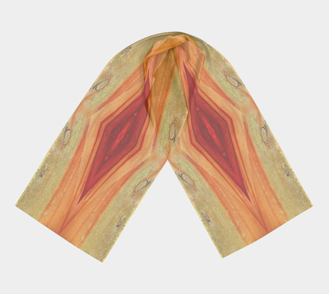 Long Scarf : F & C Color Red and Yellow Oxide, Dispersing in Croom Acrylic House Paint, Original Color