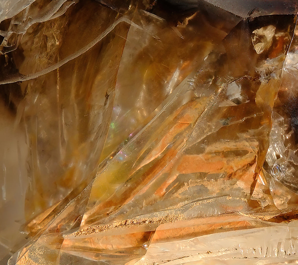Tablecloth: Quartz, Mud Included — Cleveland, North Carolina — Original Color