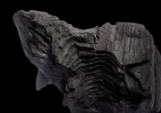 Bodycon Dress: Charcoal formed approximately 50,000 years ago when lava from a Washington State volcano engulfed tree, carbonizing it.