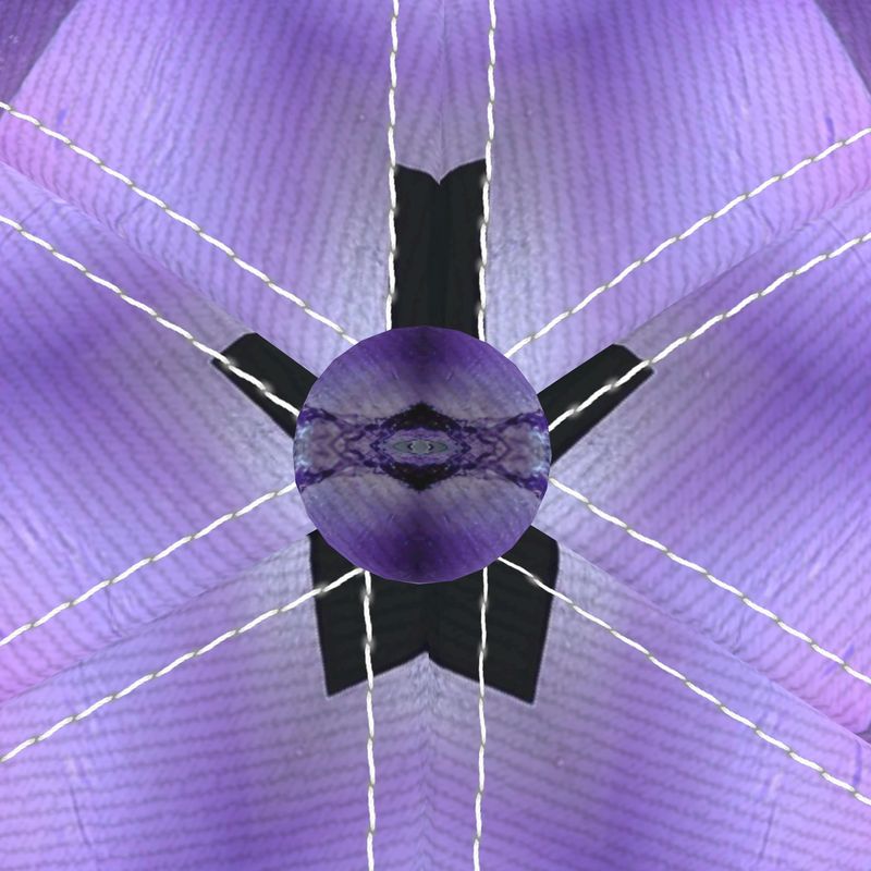 Baseball Cap: Quartz, var Amethyst Hour Glass, Morocco, EX Chris Wright, Original