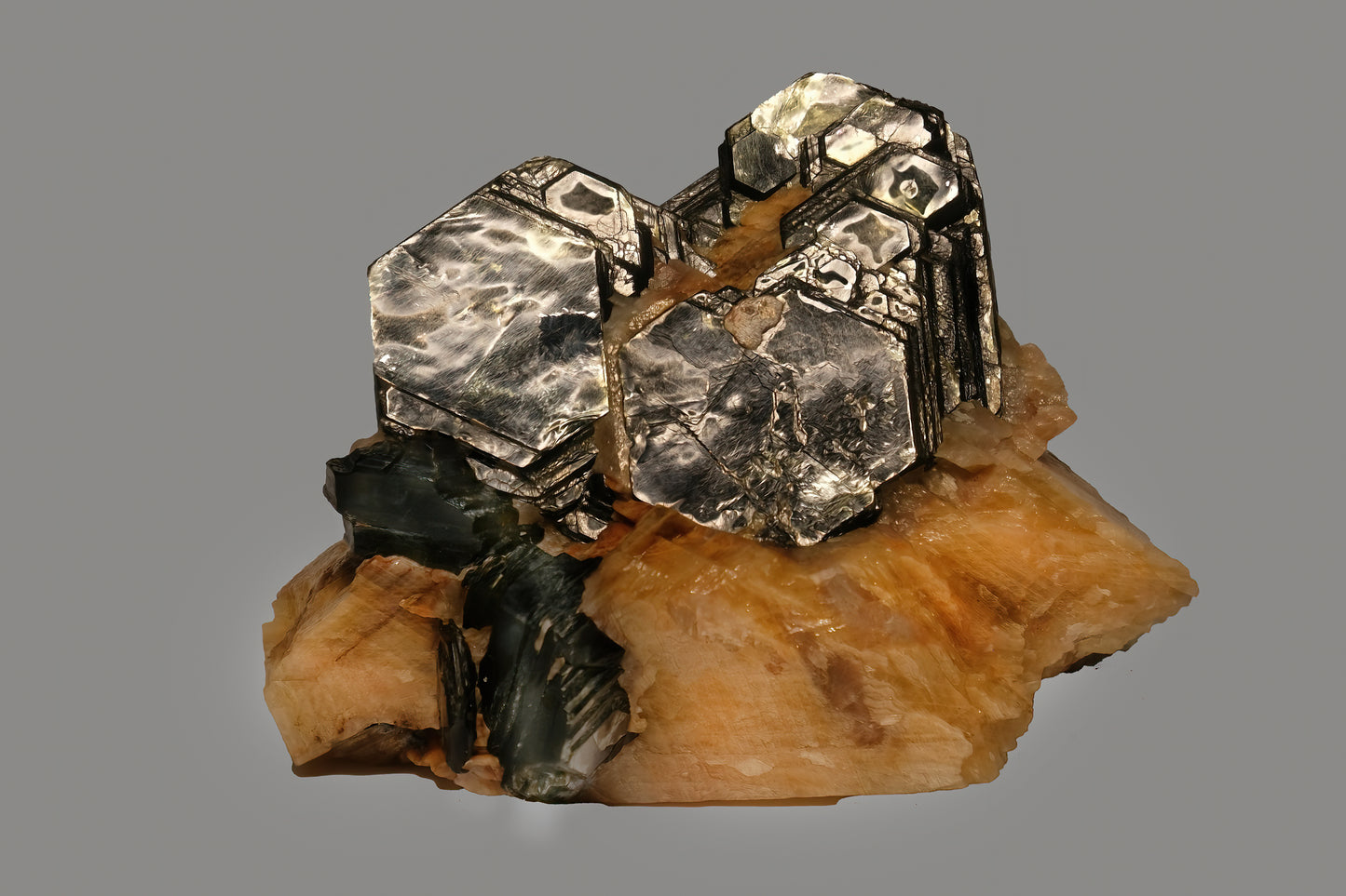 Beanie: Phlogopite, South Africa, Inverted Color, (6)