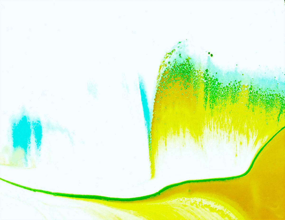 Tablecloth: A Color (Hansa Yellow) and D color (Pthalo Green) Dispersing in Croom Acrylic House Paint — North Carolina — Original Color
