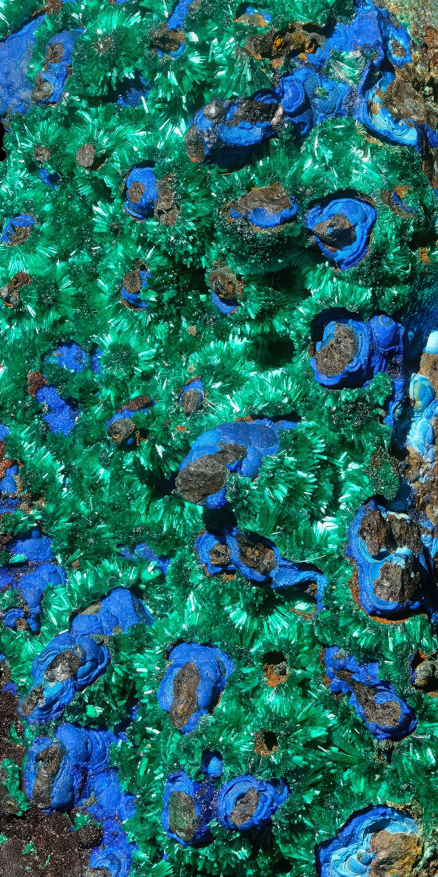 Beanie: Malachite Crystals and Azurite Botryoids, Queen Copper Mine, Bisbee, Arizona, USA, EX Yale, Circa 1900, Original Color Version 1