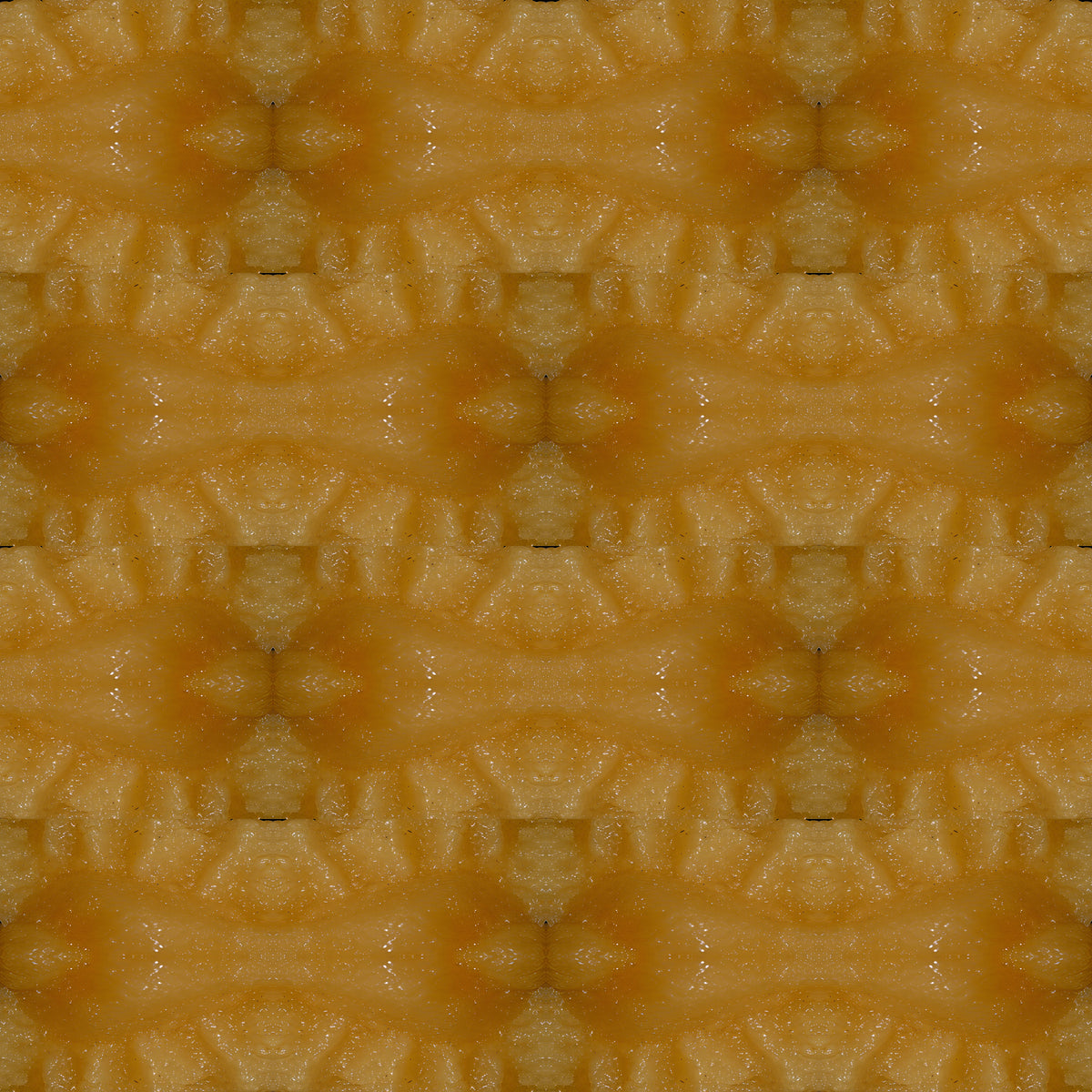Tablecloth: Calcite — Florida, USA