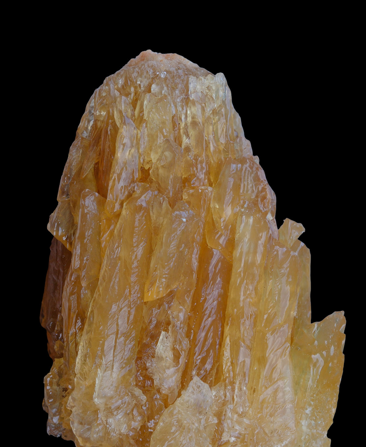 Tablecloth: Calcite — Florida, USA